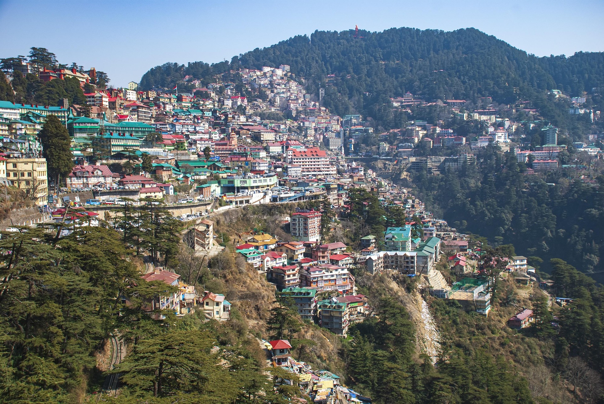 shimla 